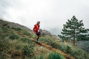 BIB: 
                            <button type="button" onclick="openModal(26021135)" class="btn btn-primary btn-sm float-right btn-popup" data-toggle="modal" data-target=".modal-high-quality">
                        <i class="fas fa-shopping-cart"></i> Add to Cart
                    </button>
                                            <button type="button" onclick="isThisMe(26021135, true)" class="btn btn-success btn-sm float-right btn-popup btn-isme hidden" data-toggle="tooltip" data-placement="bottom" title="นี่คือรูปของคุณใช่ไหม คลิกที่นี่เพื่อเอาเข้าอัลบั้ม">
                        <i class="fas fa-plus"></i> Add to album
                    </button>
                    <button type="button" onclick="isThisMe(26021135, false)" class="btn btn-warning btn-sm float-right btn-popup btn-isnotme hidden">
                        <i class="fas fa-ban"></i> Remove from album
                    </button>